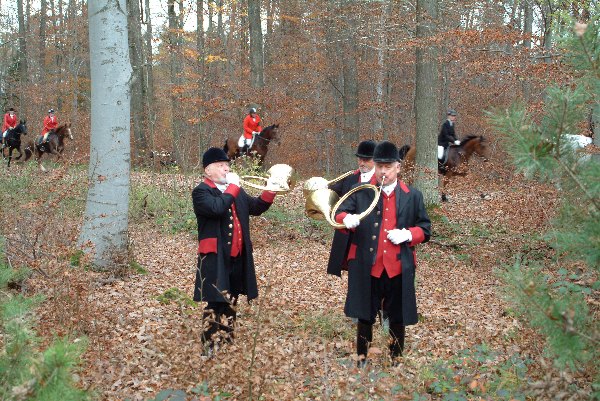 40_kraeherwald_2010_2848.jpg