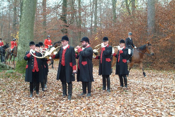 41_kraeherwald_2010_2866.jpg