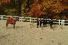 30_kraeherwald_2007_013.jpg 600x401 85 KB 30_kraeherwald_2007_013.jpg